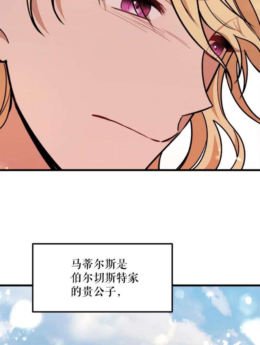 公女的危险哥哥们17.专属骑士