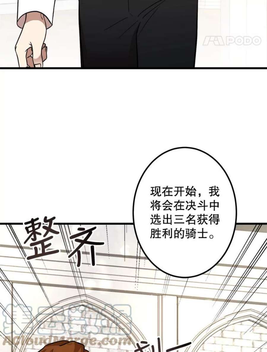 公女的危险哥哥们17.专属骑士
