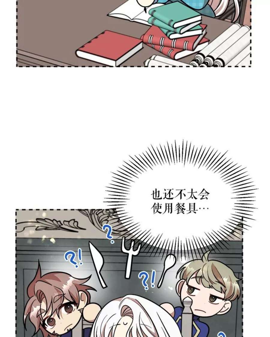 公女的危险哥哥们19.魔法师家族