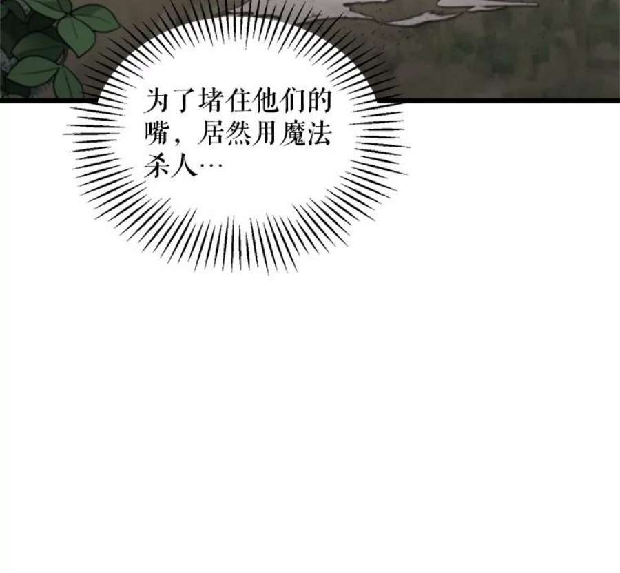 公女的危险哥哥们19.魔法师家族