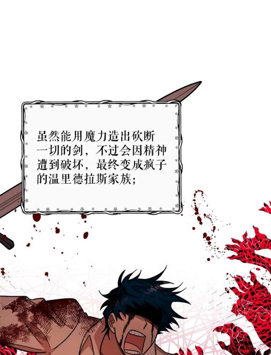 公女的危险哥哥们19.魔法师家族