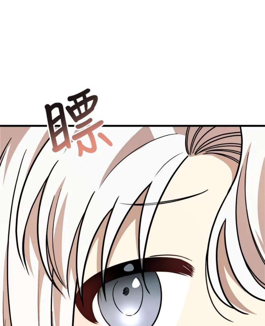 公女的危险哥哥们19.魔法师家族