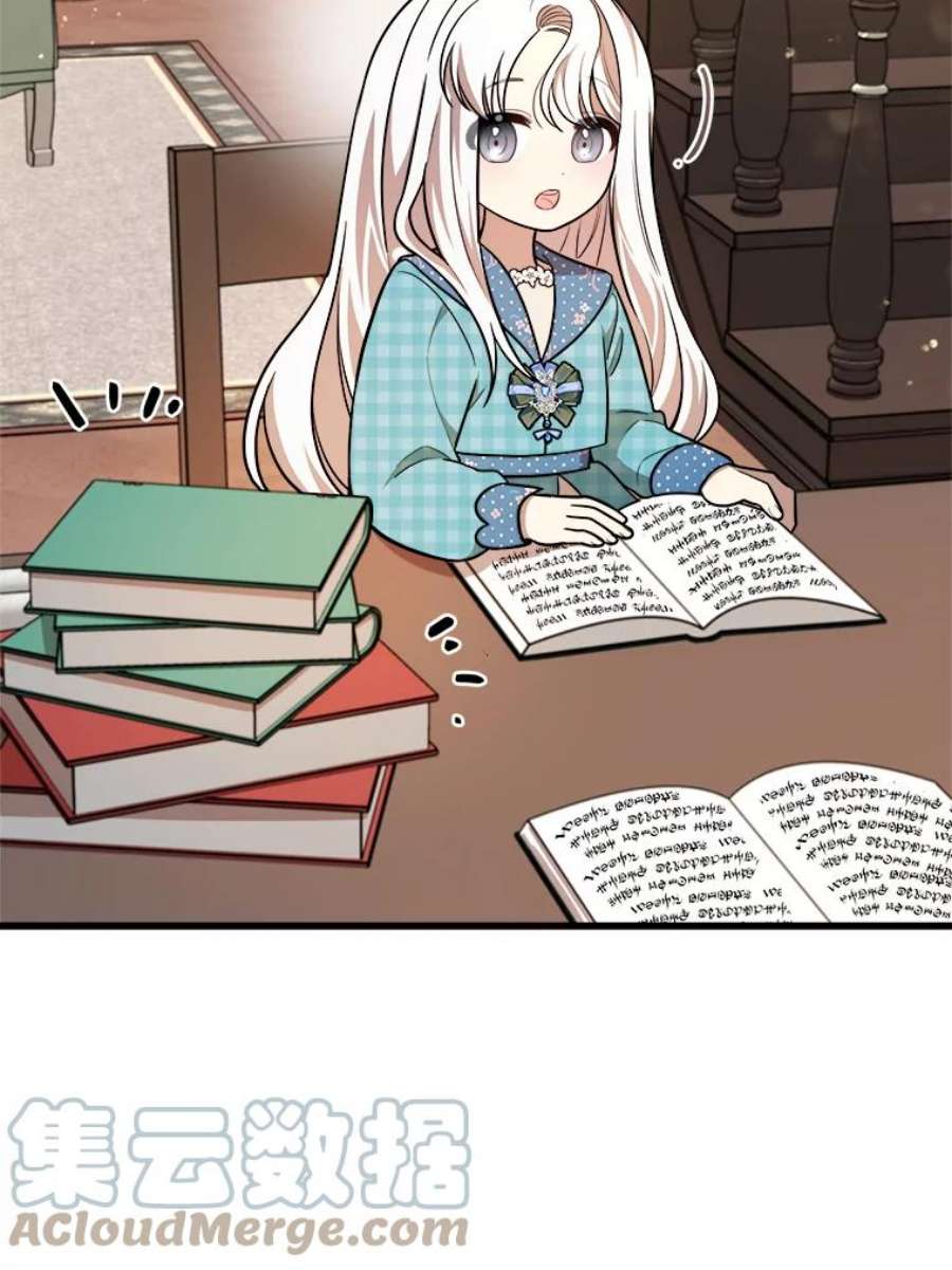 公女的危险哥哥们19.魔法师家族
