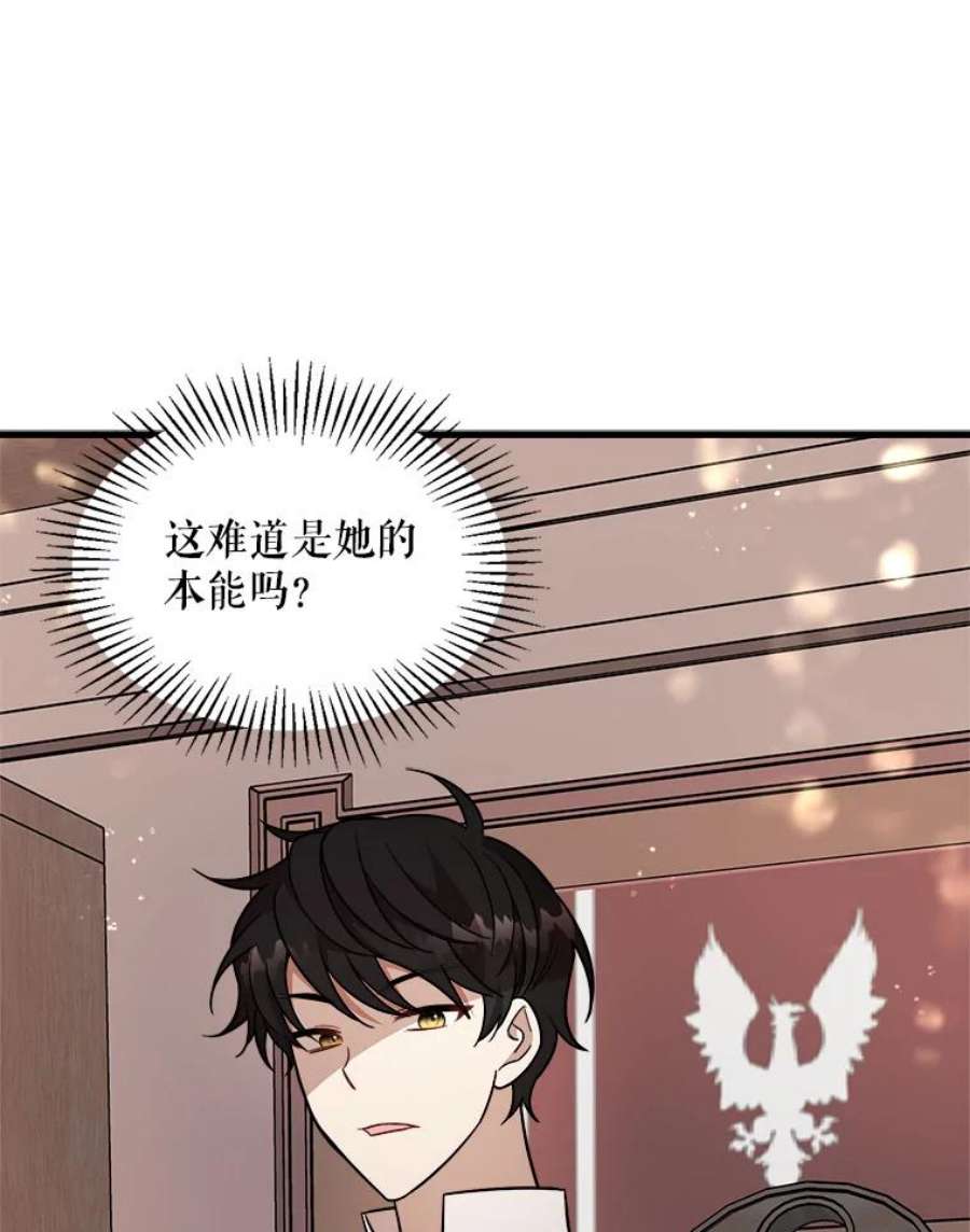 公女的危险哥哥们19.魔法师家族