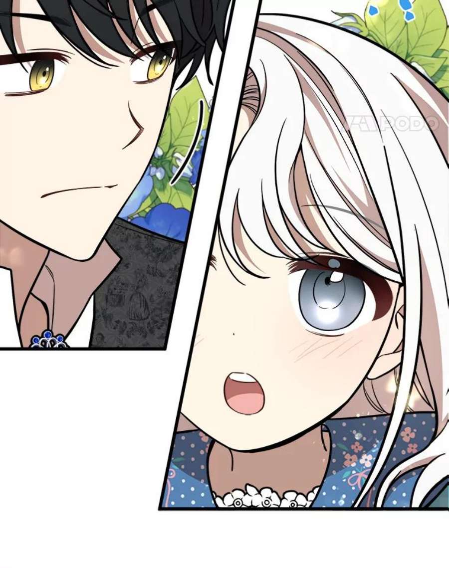 公女的危险哥哥们19.魔法师家族