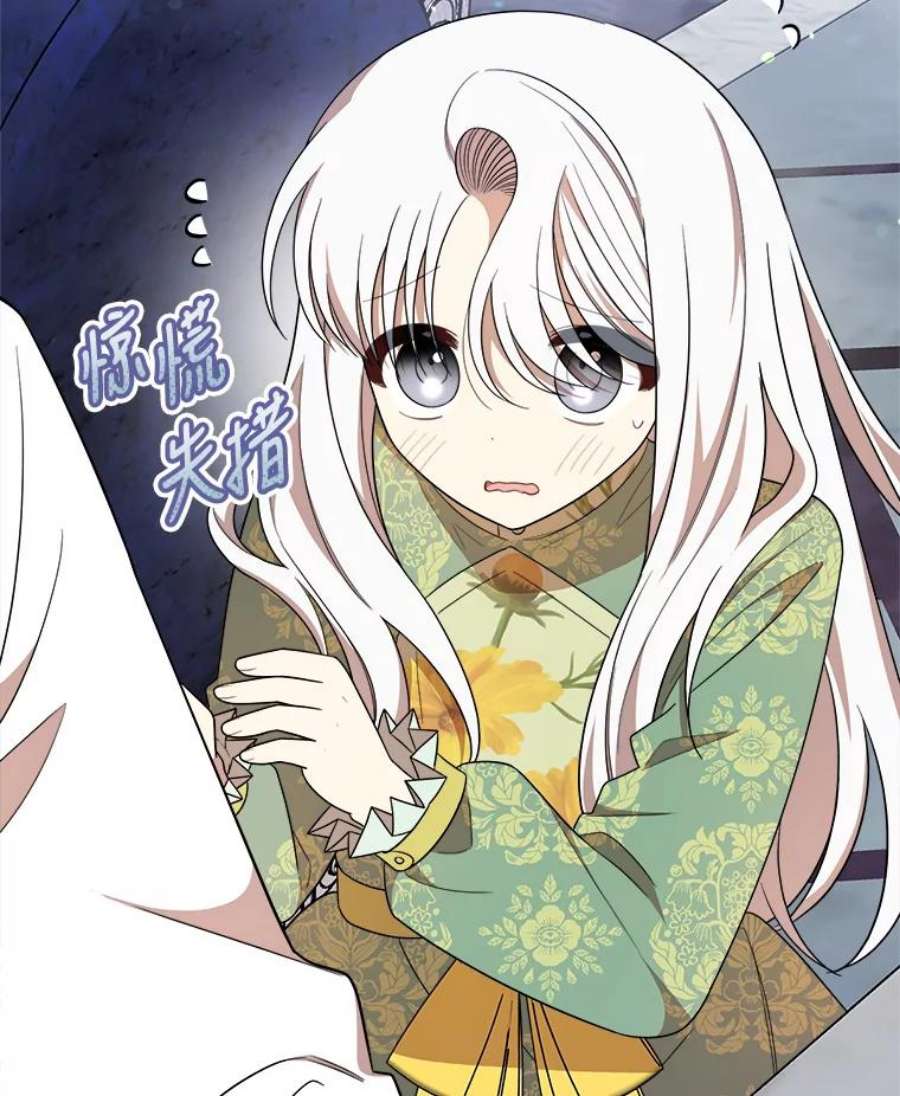 公女的危险哥哥们36.莉蒂的身世