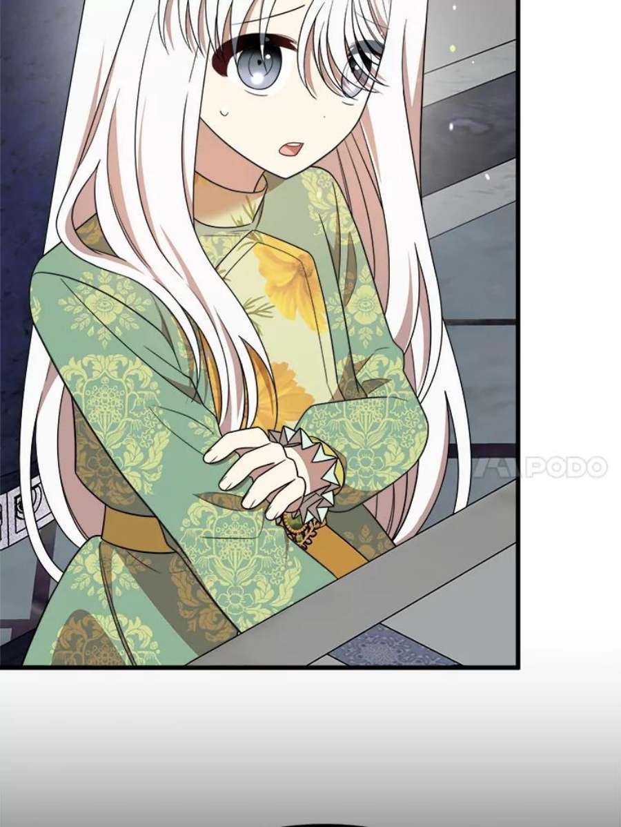公女的危险哥哥们36.莉蒂的身世
