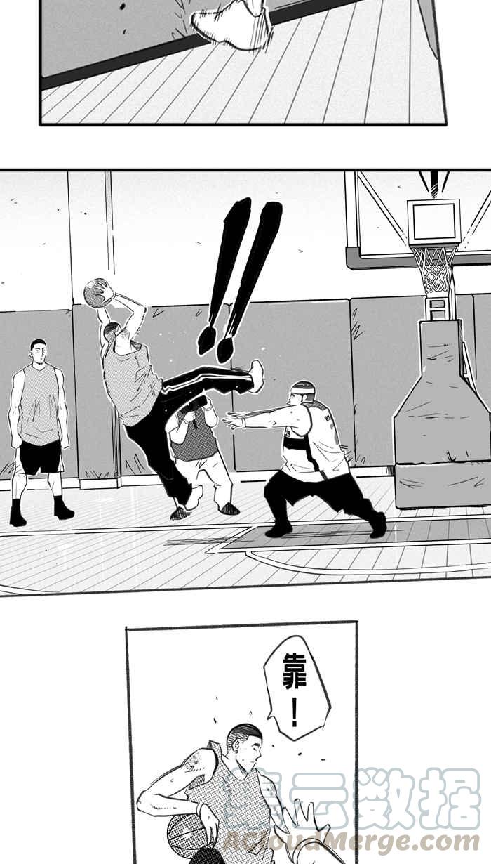 宅男打篮球四季话顾