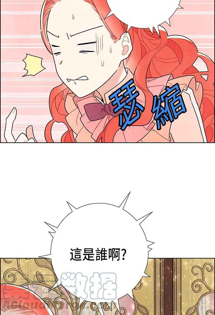 我夺走了公爵的初夜5话