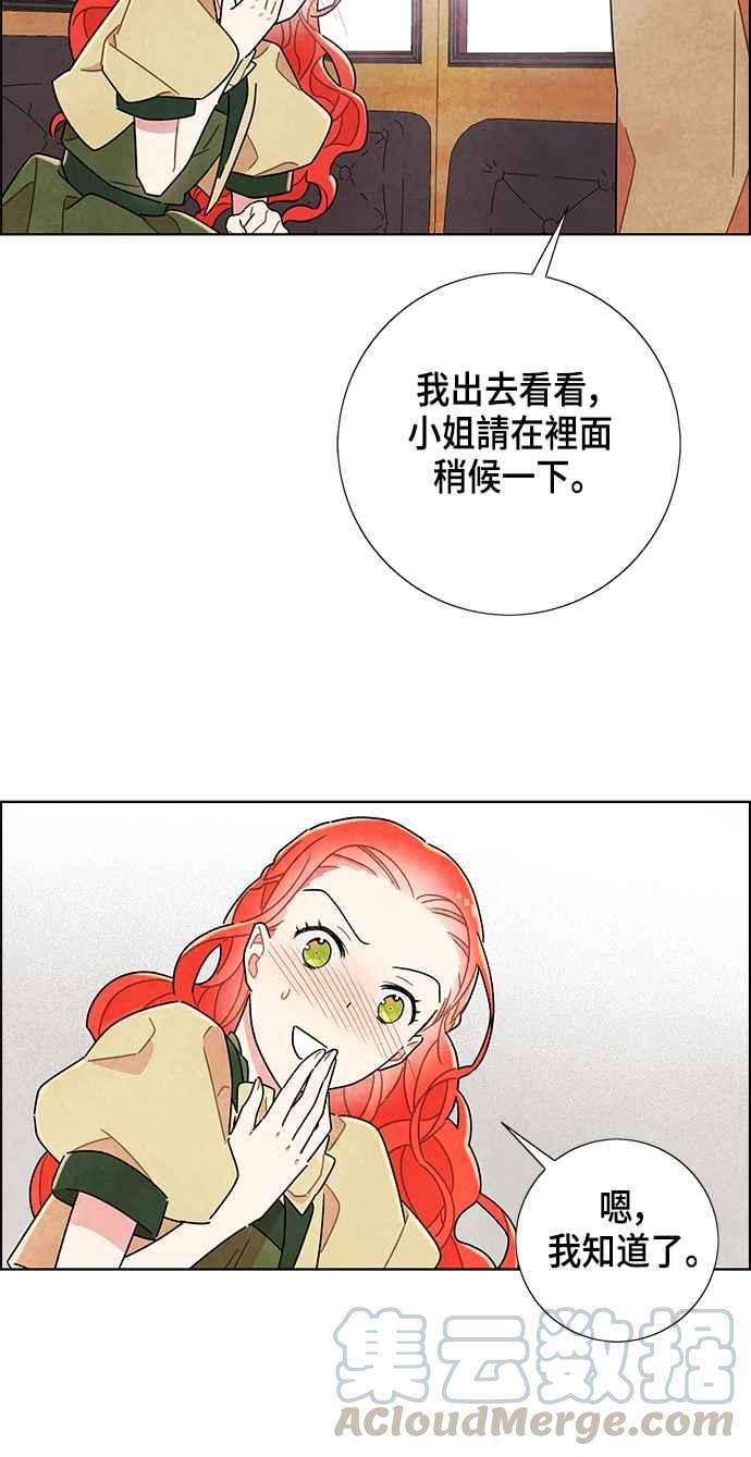 我夺走了公爵的初夜8话