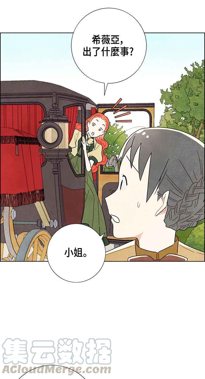 我夺走了公爵的初夜8话