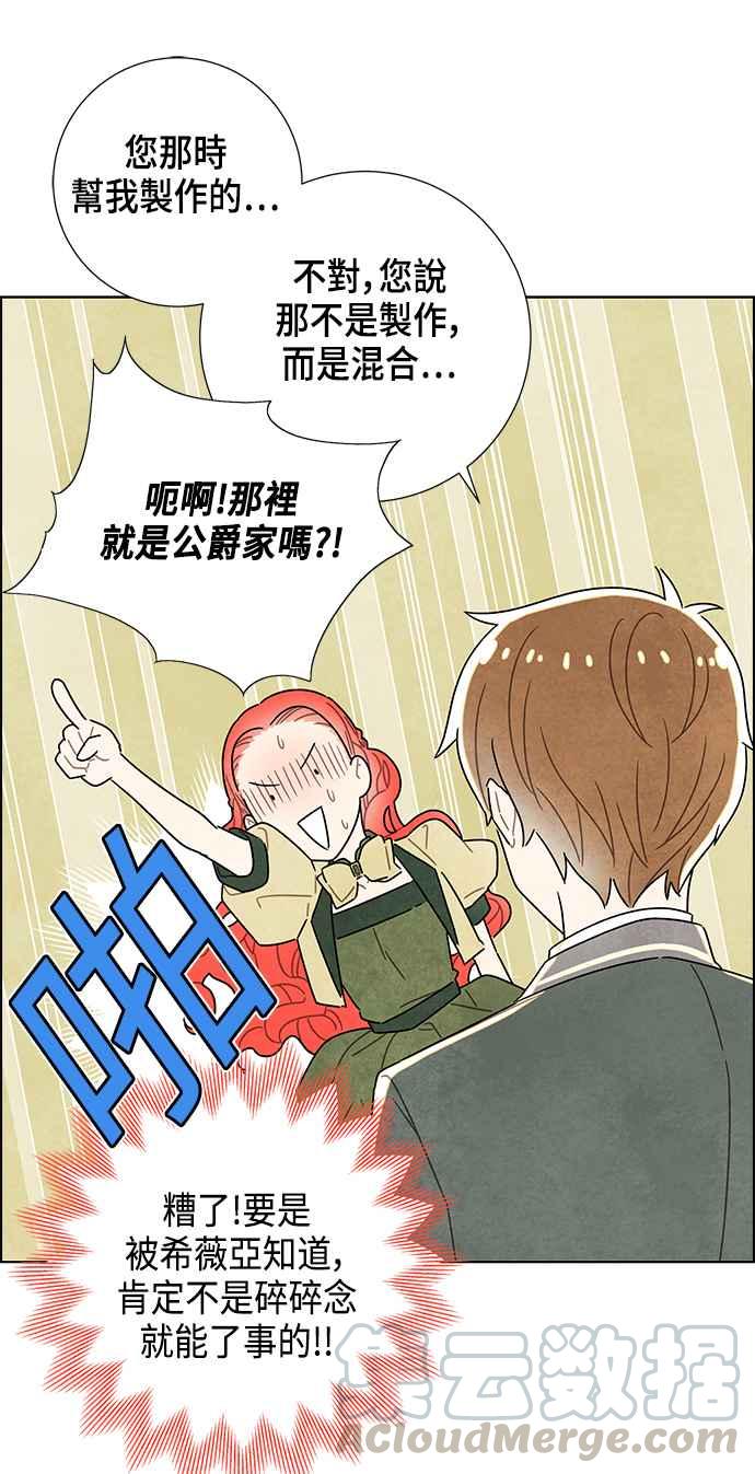 我夺走了公爵的初夜9话