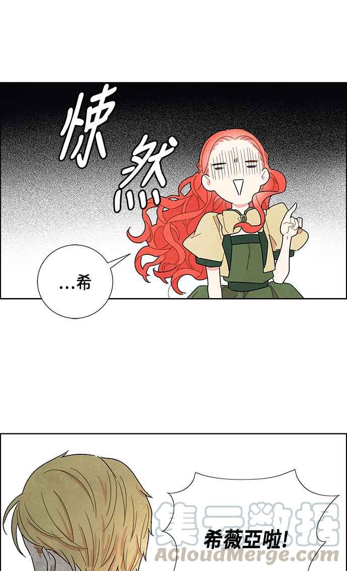 我夺走了公爵的初夜10话
