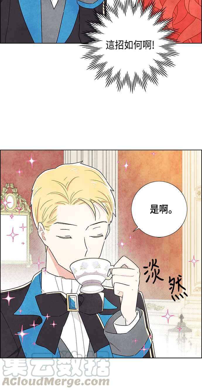 我夺走了公爵的初夜14话