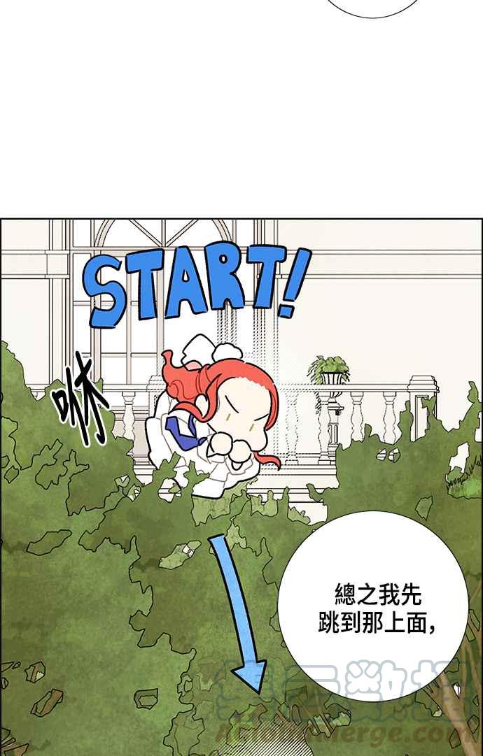 我夺走了公爵的初夜15话