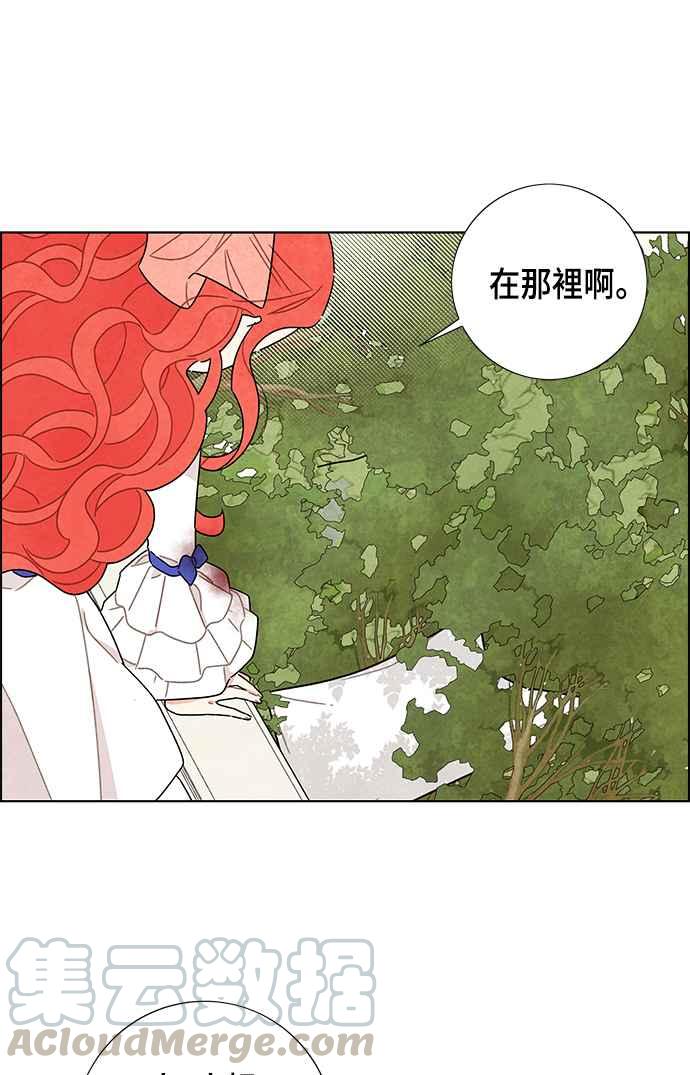 我夺走了公爵的初夜15话