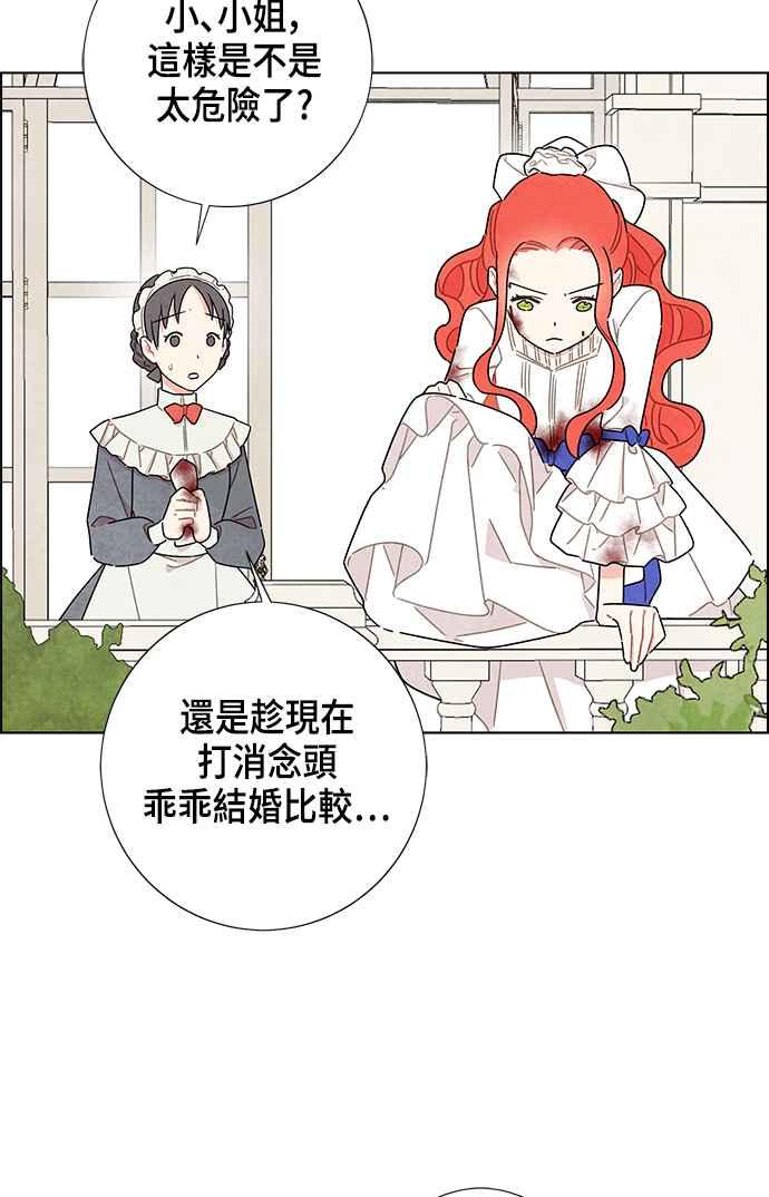 我夺走了公爵的初夜15话