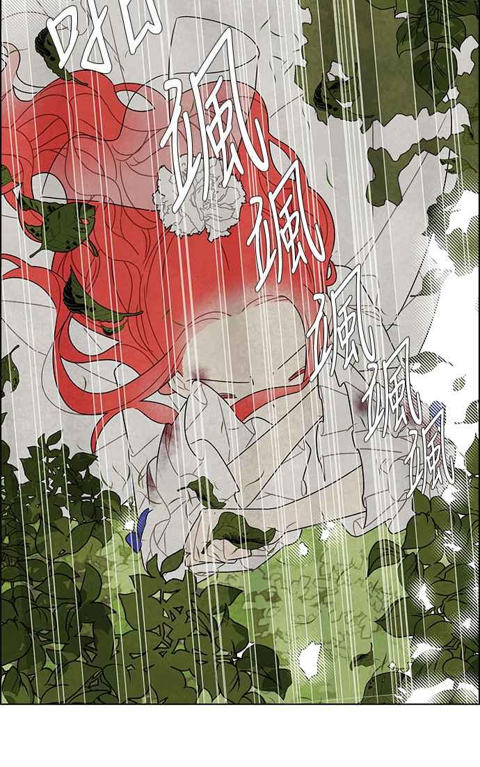 我夺走了公爵的初夜15话
