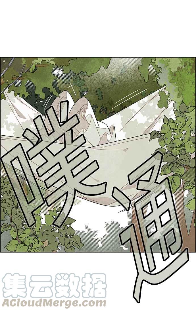 我夺走了公爵的初夜15话