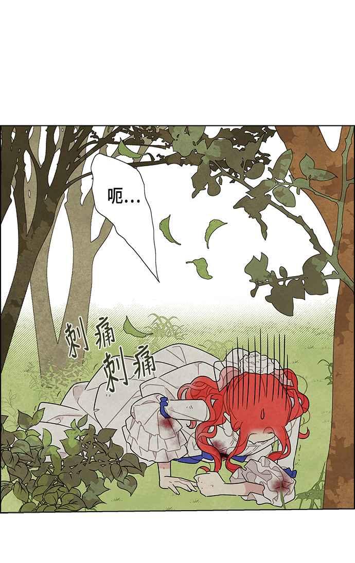 我夺走了公爵的初夜15话