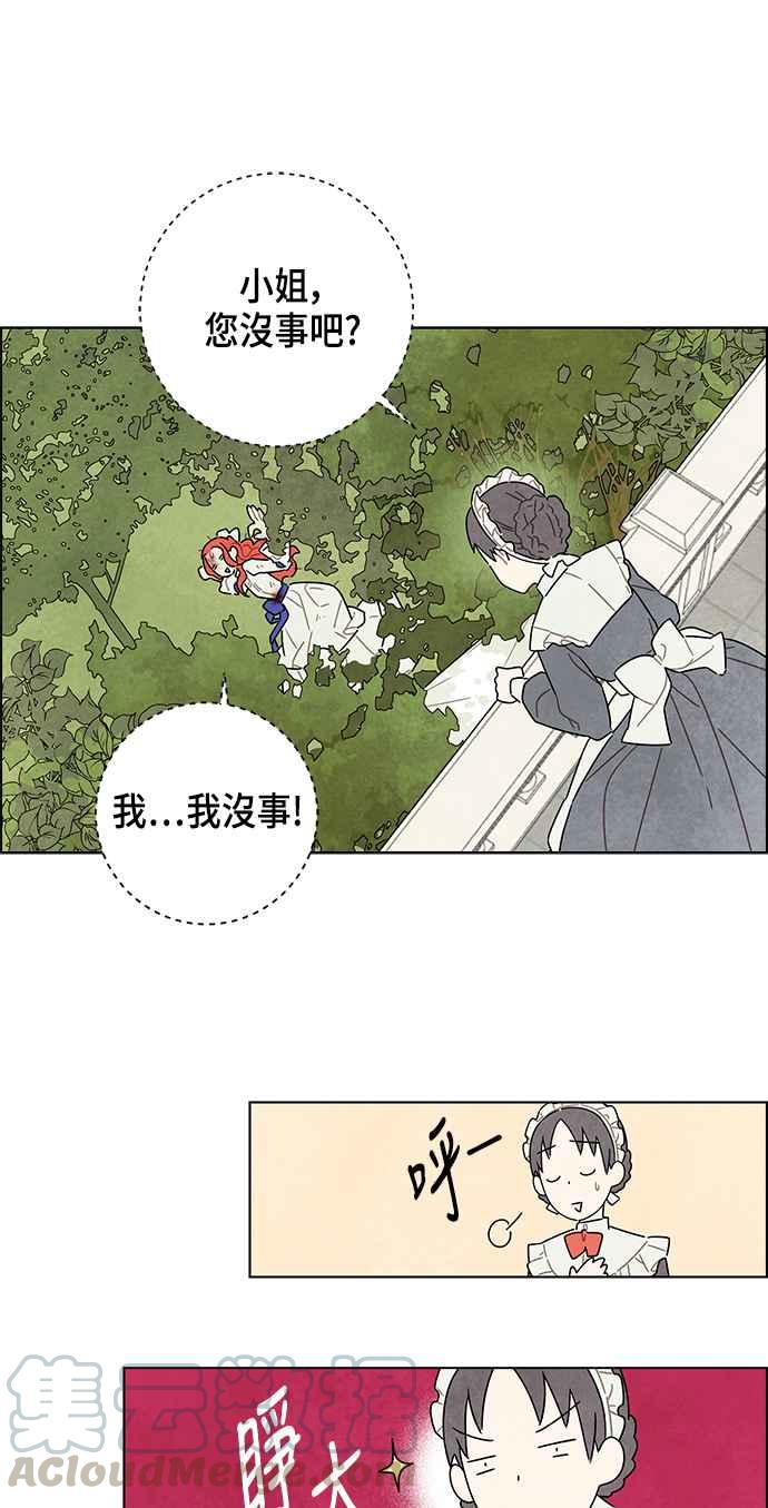 我夺走了公爵的初夜15话