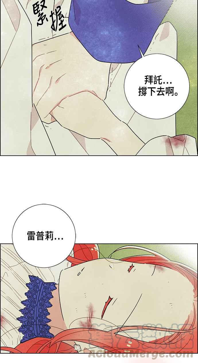 我夺走了公爵的初夜15话