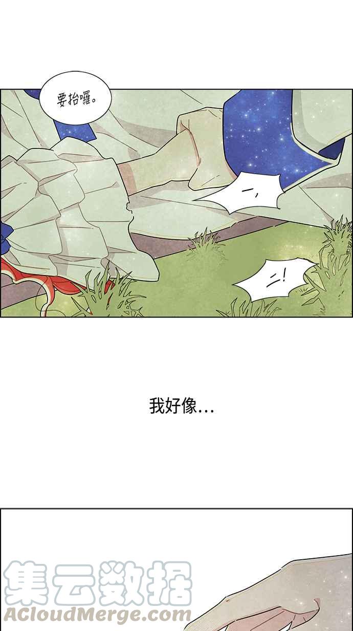 我夺走了公爵的初夜15话