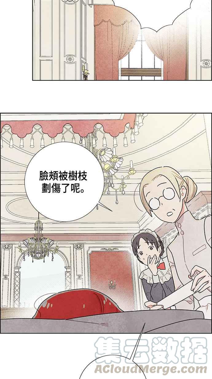 我夺走了公爵的初夜15话