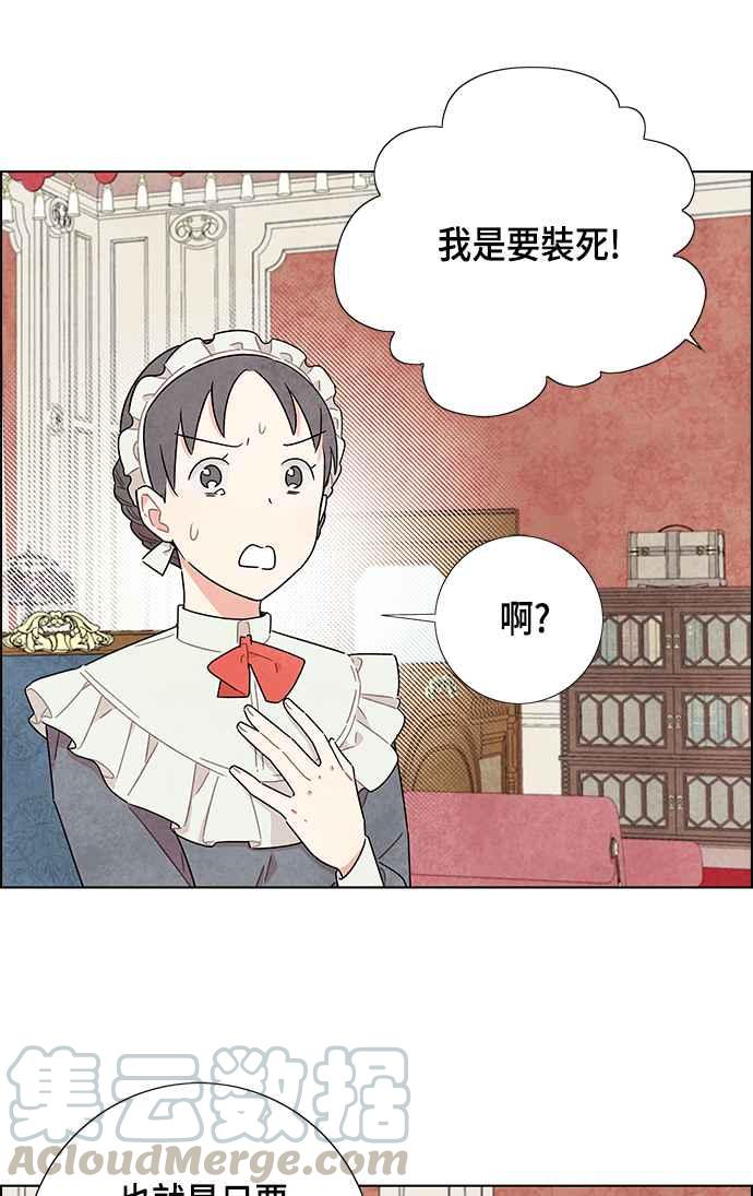 我夺走了公爵的初夜15话