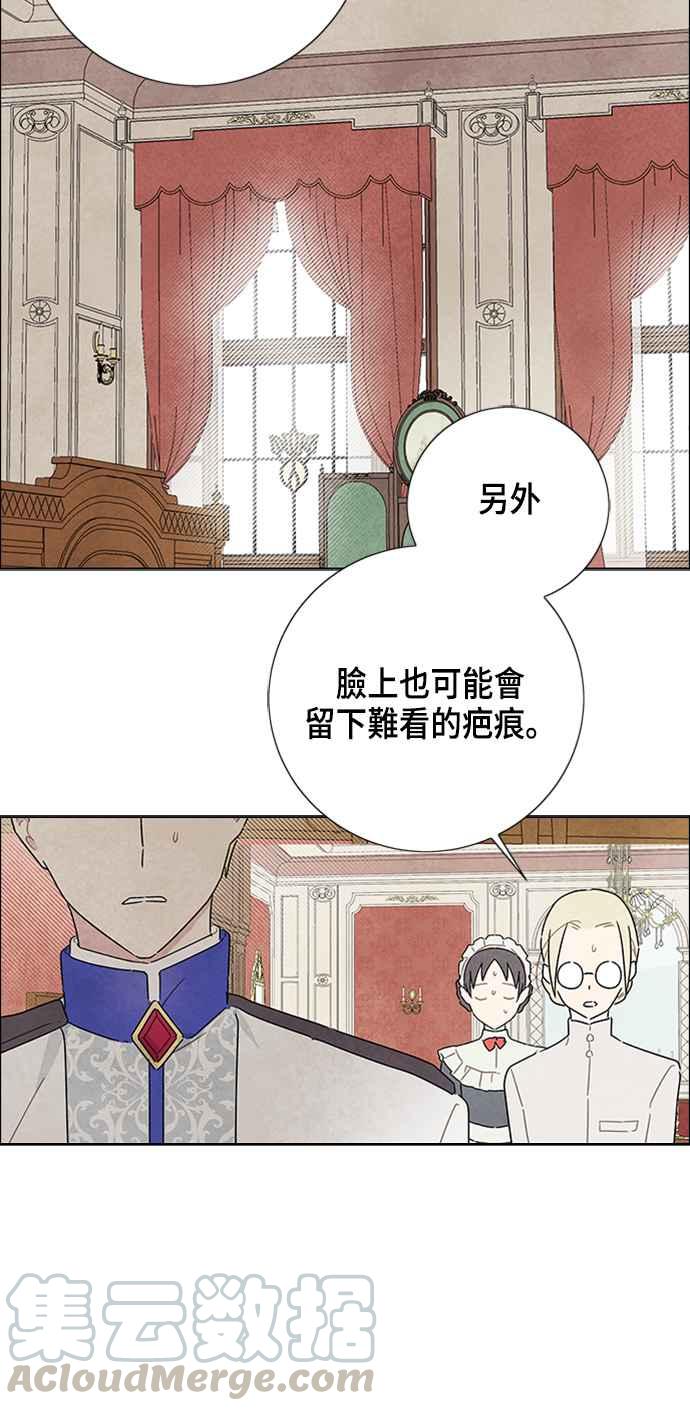 我夺走了公爵的初夜16话