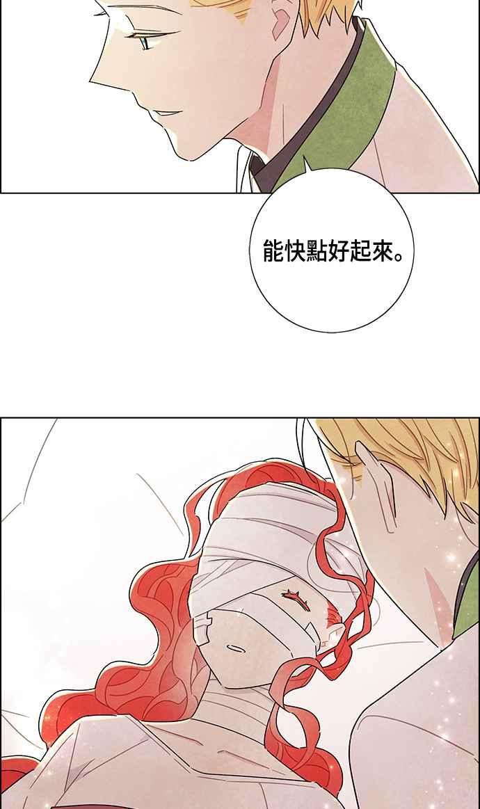 我夺走了公爵的初夜17话