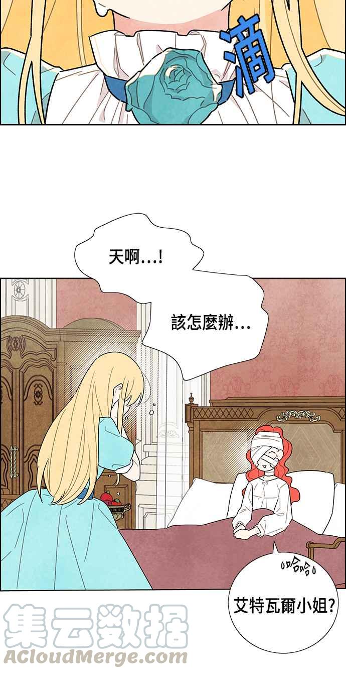 我夺走了公爵的初夜18话