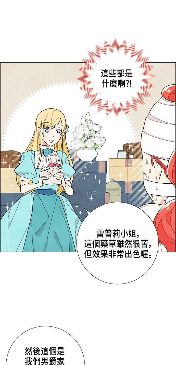 我夺走了公爵的初夜18话