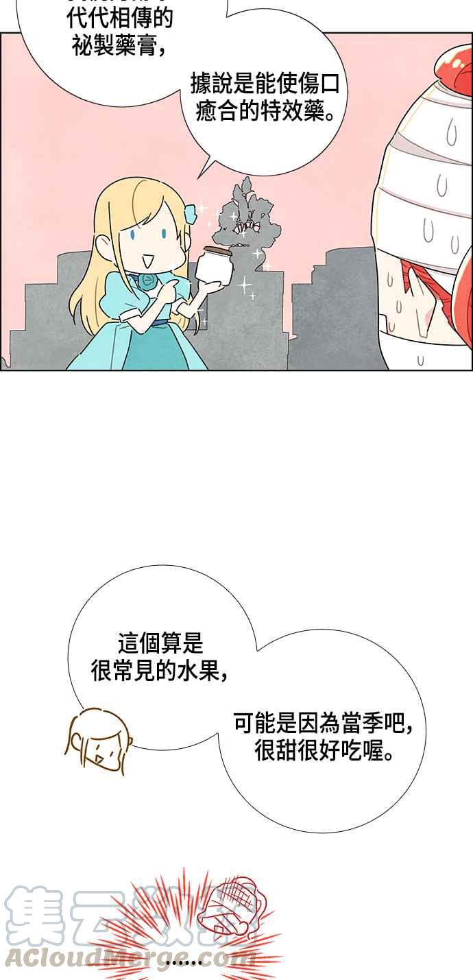 我夺走了公爵的初夜18话