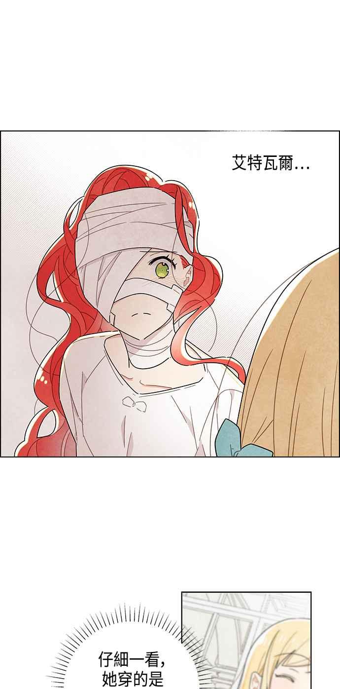 我夺走了公爵的初夜18话