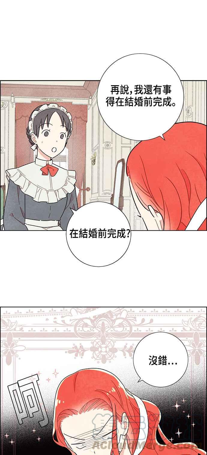 我夺走了公爵的初夜19话