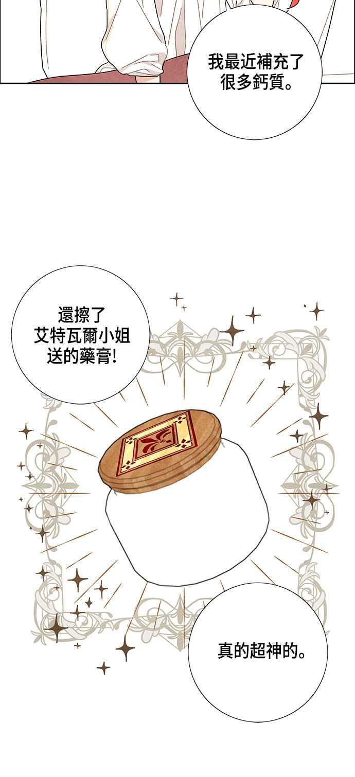 我夺走了公爵的初夜19话