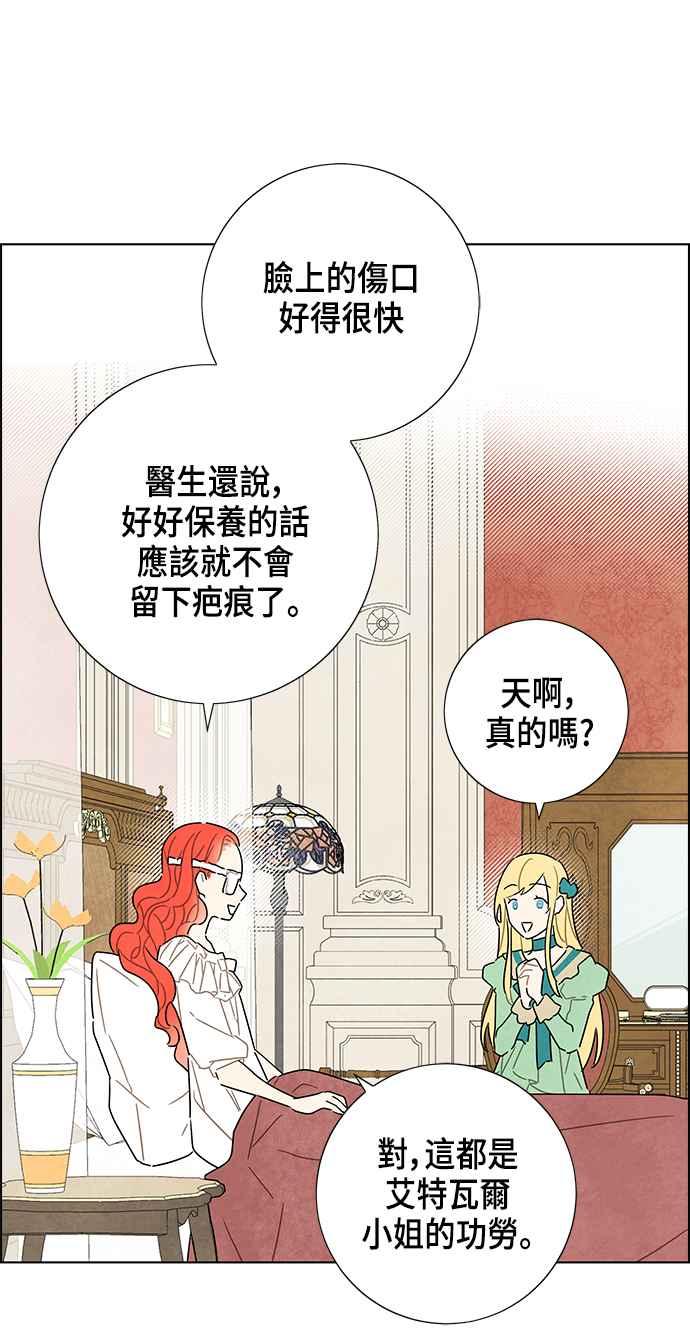 我夺走了公爵的初夜19话