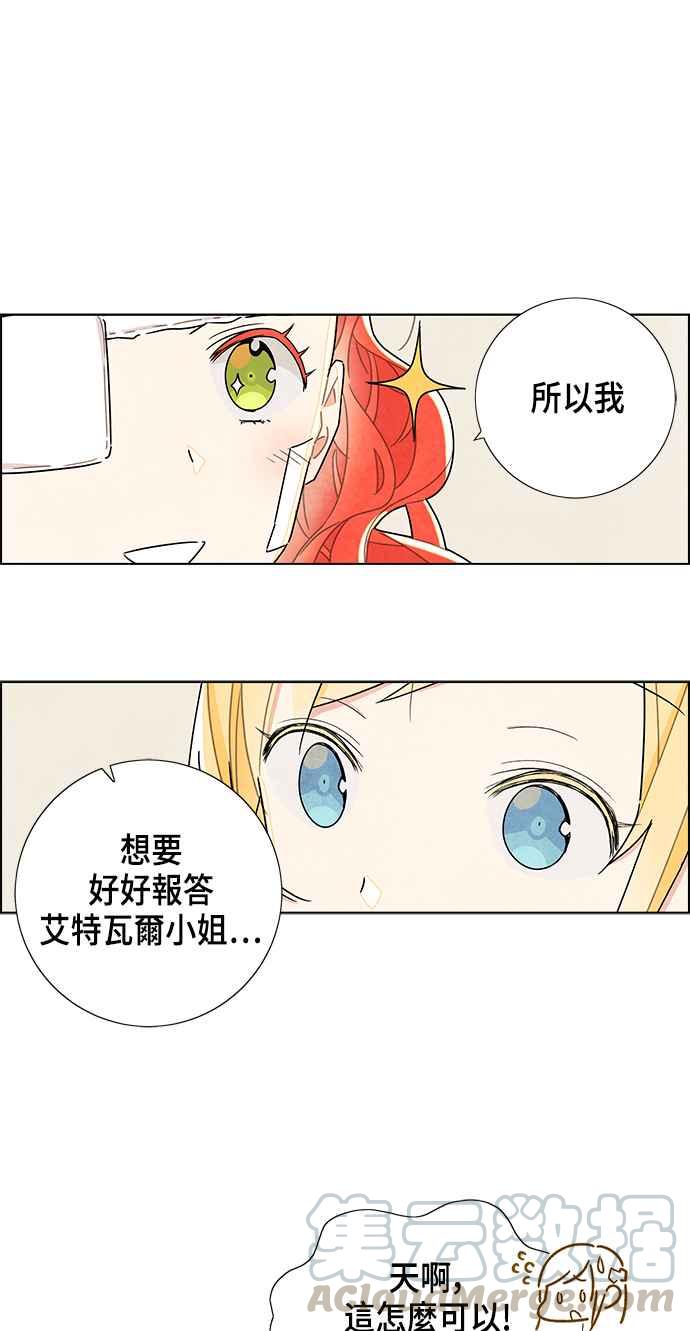 我夺走了公爵的初夜19话