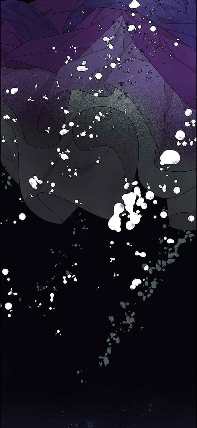 我夺走了公爵的初夜25话