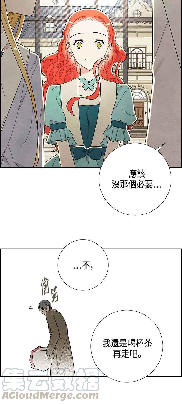 我夺走了公爵的初夜28话