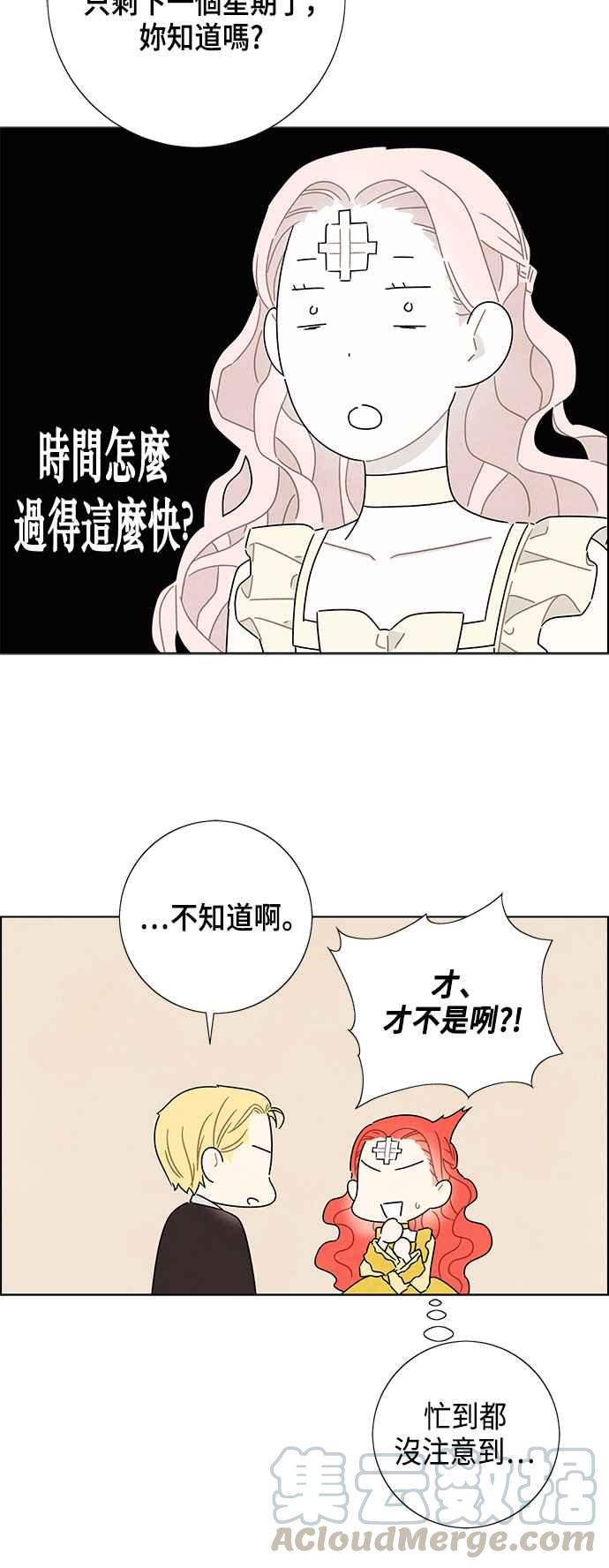 我夺走了公爵的初夜35话