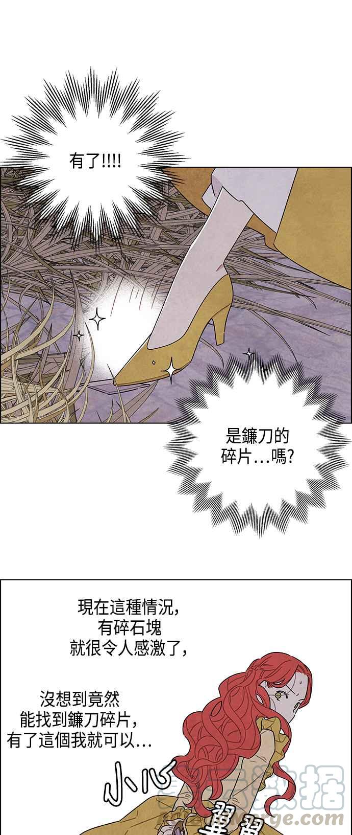 我夺走了公爵的初夜37话