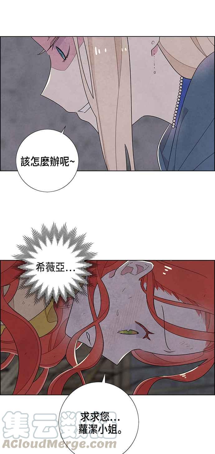 我夺走了公爵的初夜37话