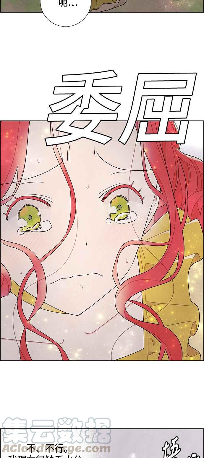 我夺走了公爵的初夜38话