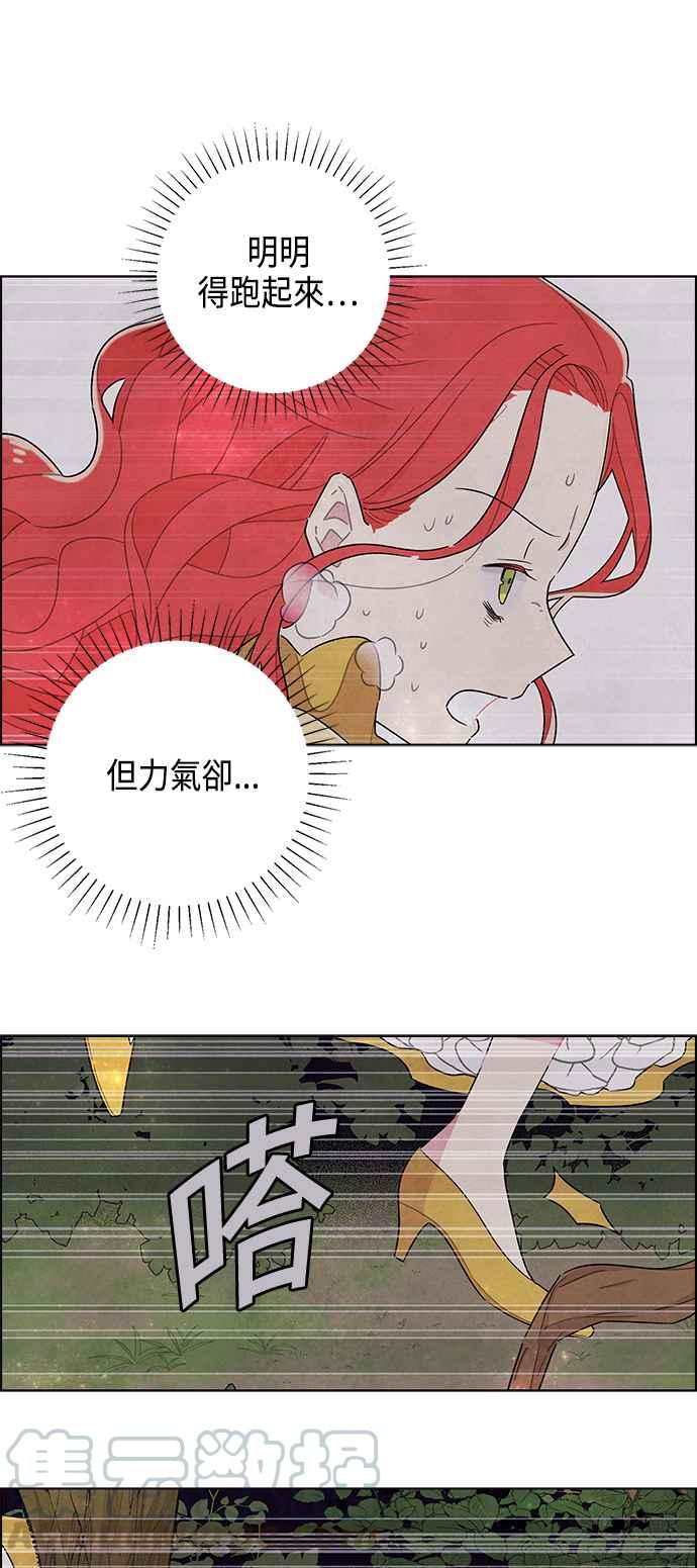 我夺走了公爵的初夜38话