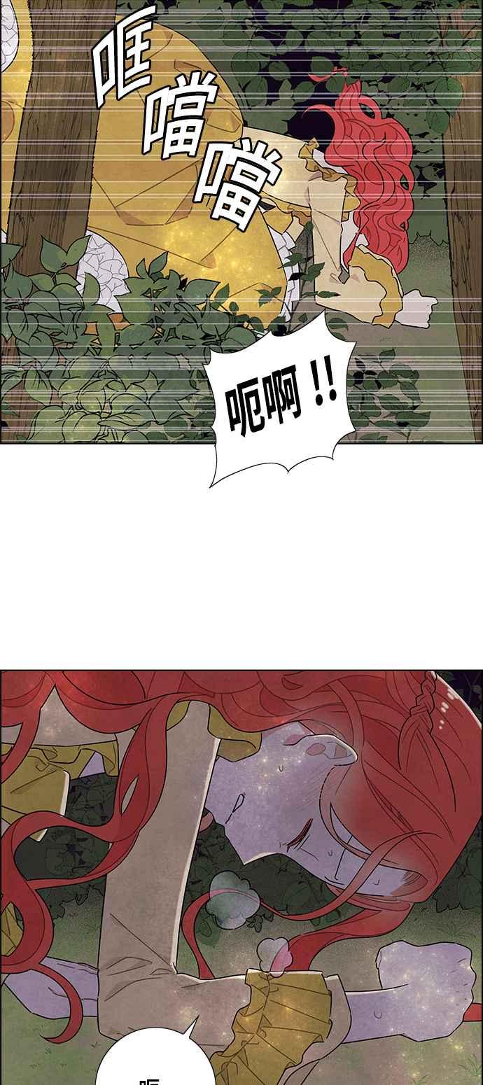 我夺走了公爵的初夜38话