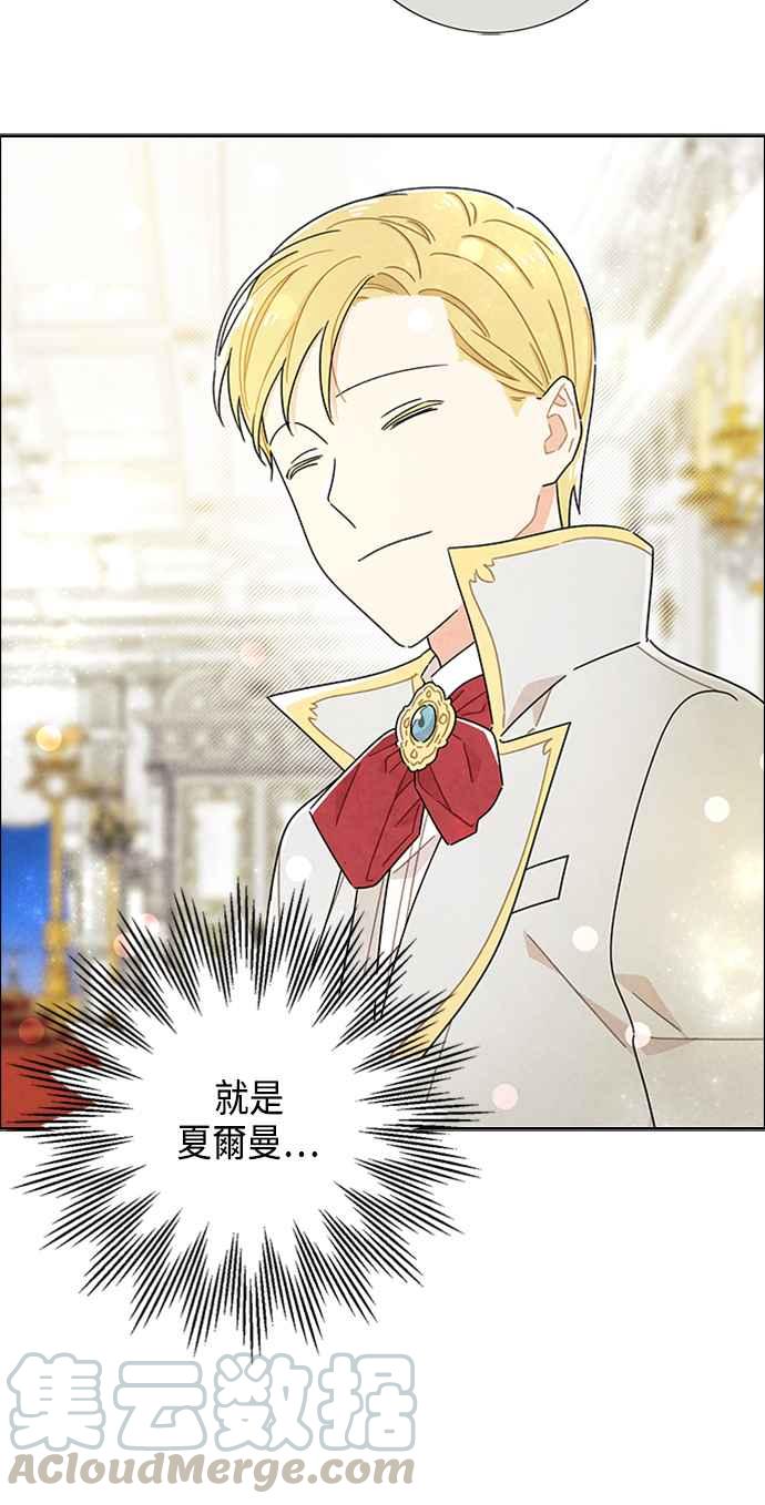 我夺走了公爵的初夜41话