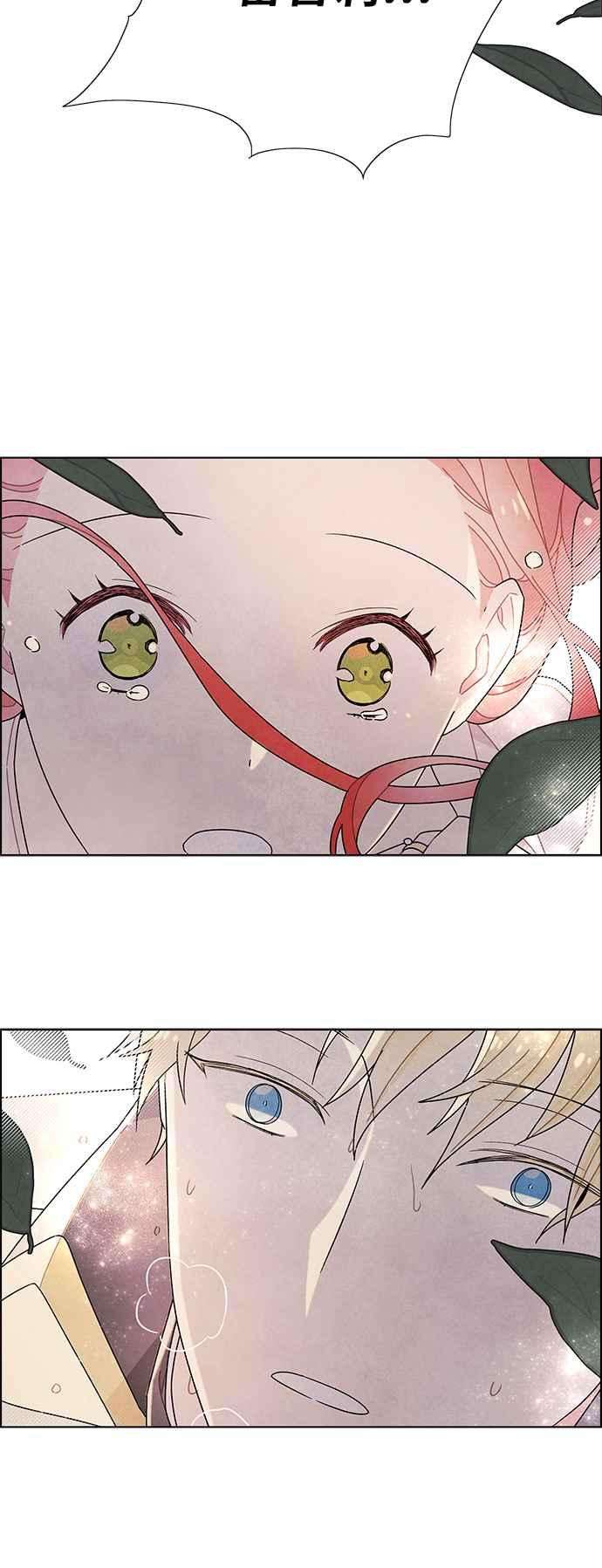 我夺走了公爵的初夜55话