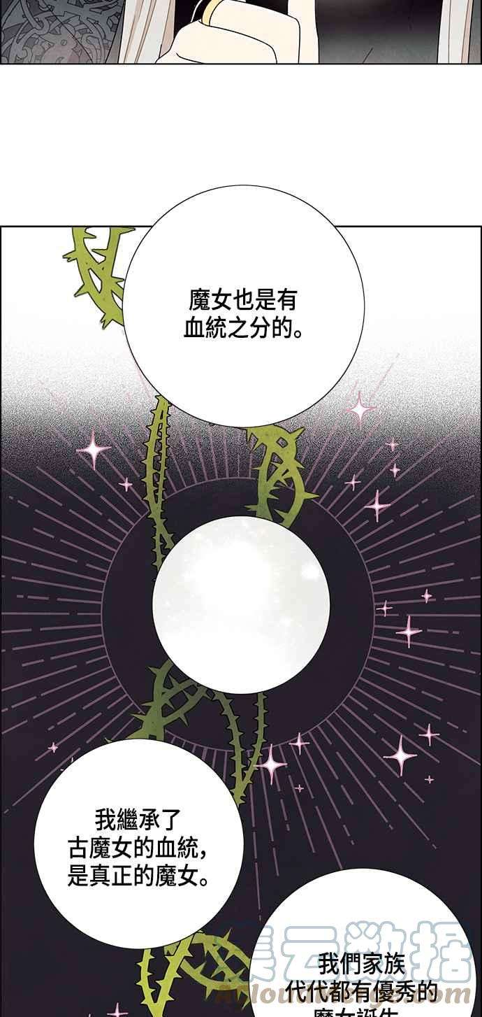 我夺走了公爵的初夜69话